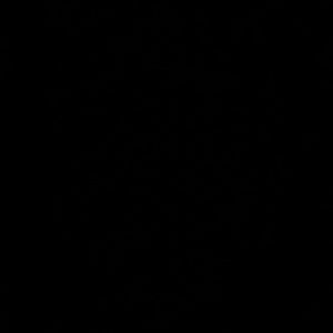 Meet your Posher, Destini